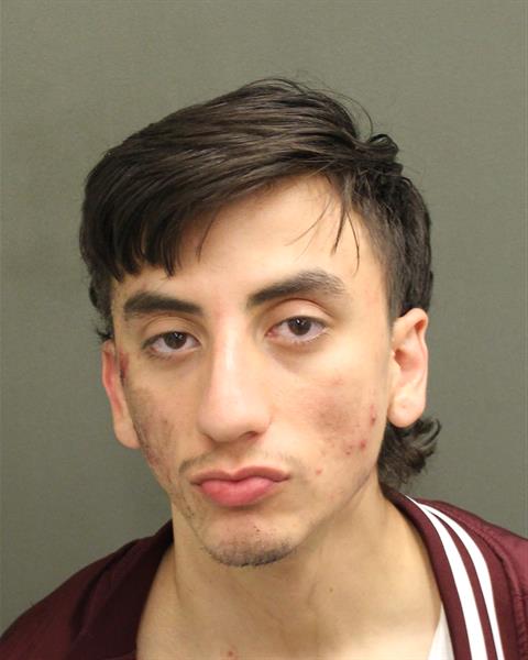  CARLOS HUMBERTO MORALESMEJIAS Mugshot / County Arrests / Orange County Arrests