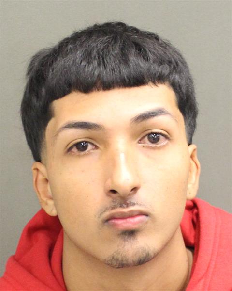  JOEL ENRIQUE PENA Mugshot / County Arrests / Orange County Arrests