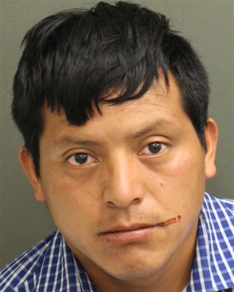  ADONAEL PEREZDELEON Photo Image