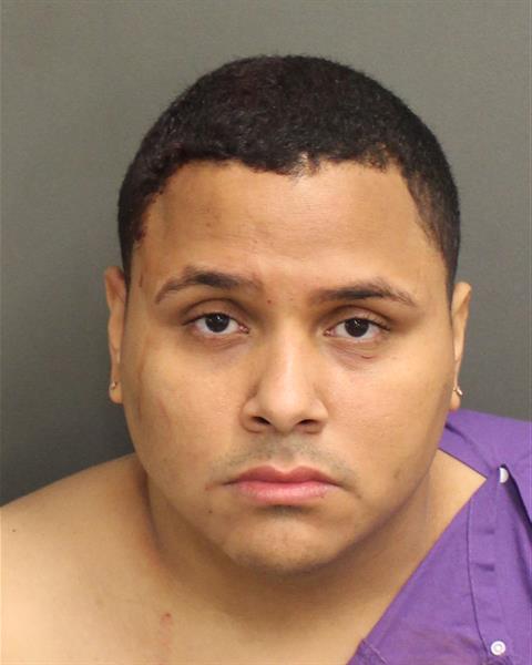  SERGIO ANDRES MAFFIOLIVILLEGAS Mugshot / County Arrests / Orange County Arrests