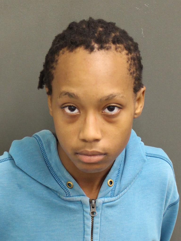  ELON A ARTIST Mugshot / County Arrests / Orange County Arrests