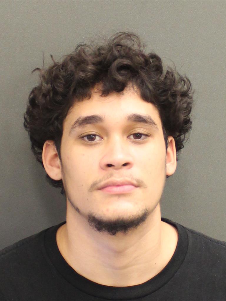 BRYAN ORLANDO MEDINARIVERA Mugshot BRYAN ORLANDO MEDINARIVERA Mugshot / County Arrests / Orange County Arrests