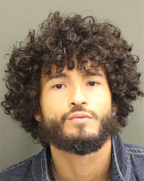  JULIAN ALEXIS AYALAMATOS Mugshot / County Arrests / Orange County Arrests