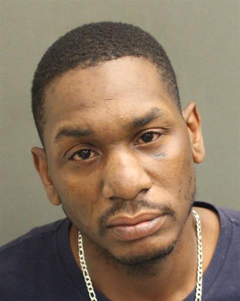  LEE A WHITE Mugshot / County Arrests / Orange County Arrests