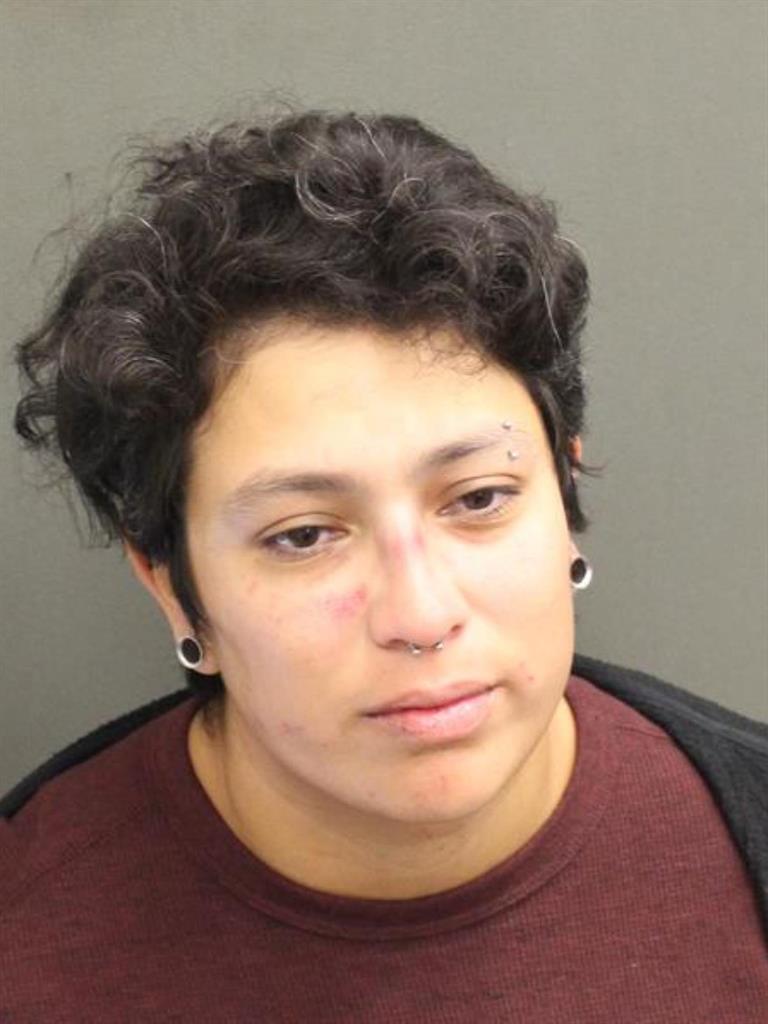 NICOLE VANESSA SUAZAVICTORIA Mugshot NICOLE VANESSA SUAZAVICTORIA Mugshot / County Arrests / Orange County Arrests