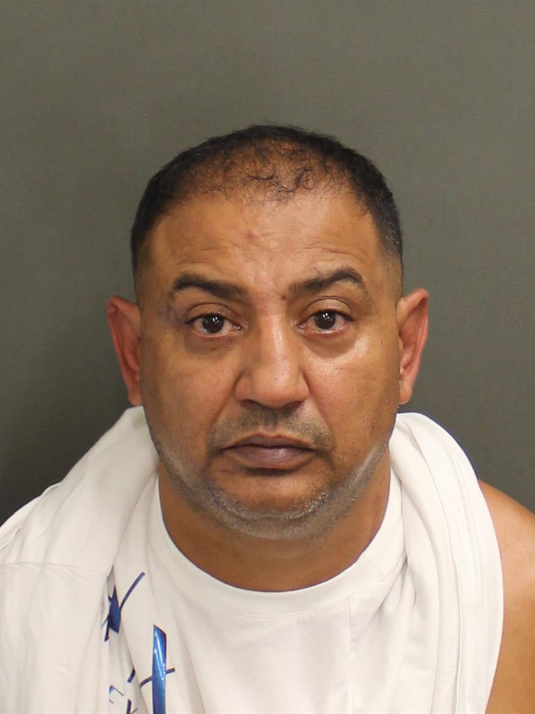  GHEORGHE HORNEA Mugshot / County Arrests / Orange County Arrests