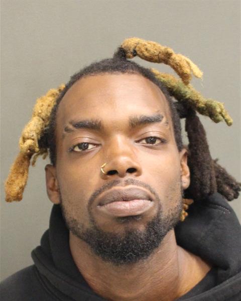 MICHAEL HAMILTON MANUEL Mugshot / County Arrests / Orange County Arrests