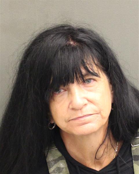  LISA ANN CATRON Mugshot / County Arrests / Orange County Arrests
