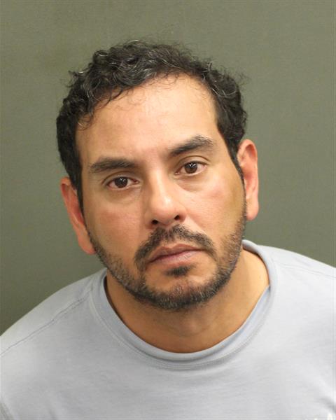  MARIO MANUEL ALVARADOFLORES Mugshot / County Arrests / Orange County Arrests