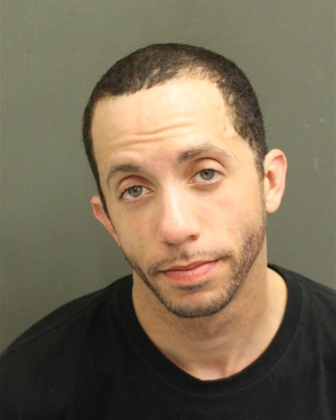  CHRISTOPHER MICHAEL DALMAU Mugshot / County Arrests / Orange County Arrests