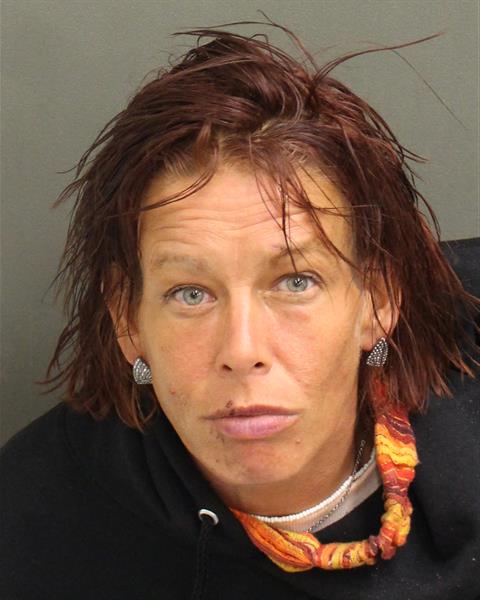  TERI JOYCE COBB Mugshot / County Arrests / Orange County Arrests