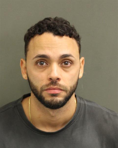  LUIS ALBERTO LABOYOSUNA Mugshot / County Arrests / Orange County Arrests