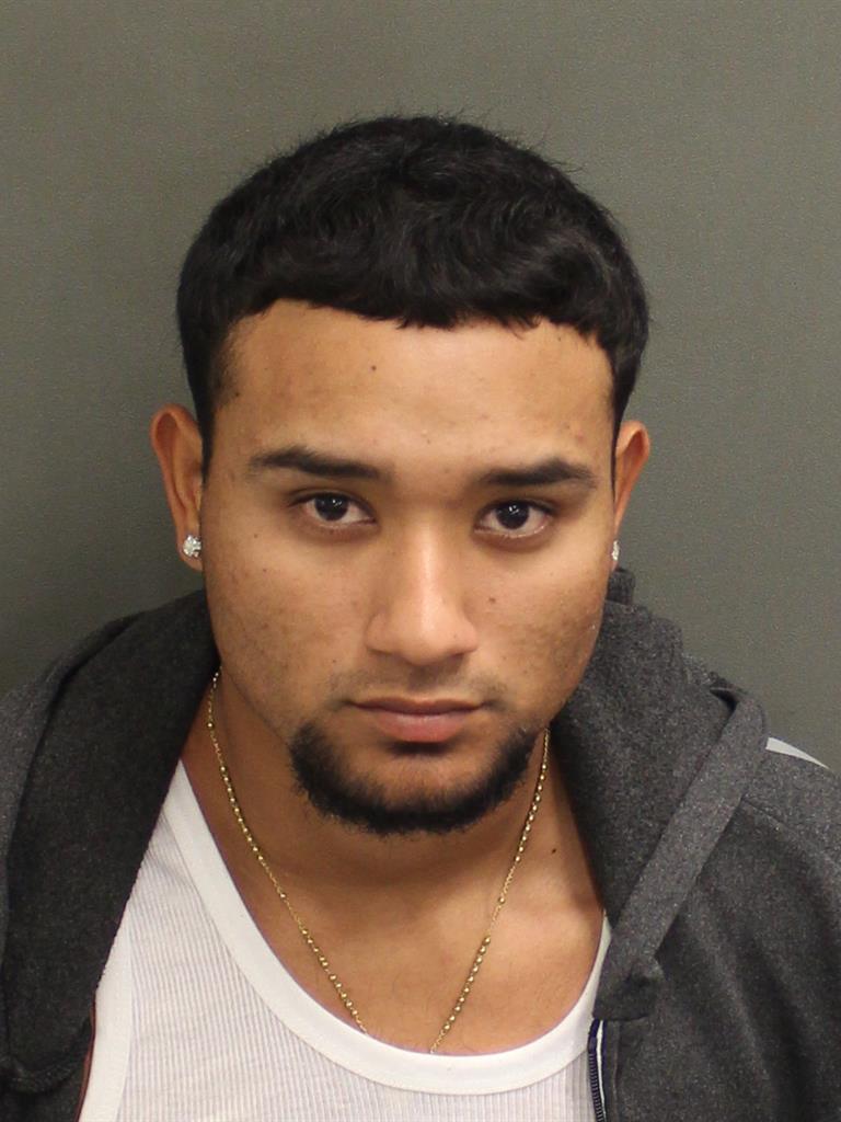  LUIS DAVID PEREIRAFLORES Mugshot / County Arrests / Orange County Arrests