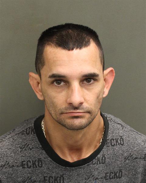 JAMES MICHAELRAY SCHELL Mugshot / County Arrests / Orange County Arrests
