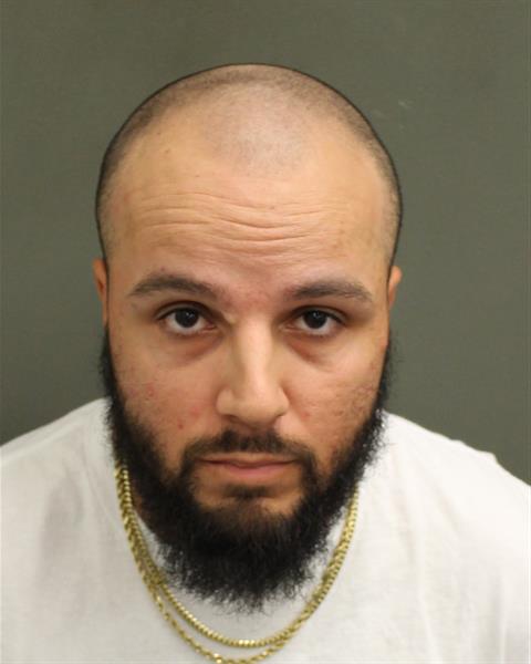  MICHAEL ANGEL RIVERA Mugshot / County Arrests / Orange County Arrests