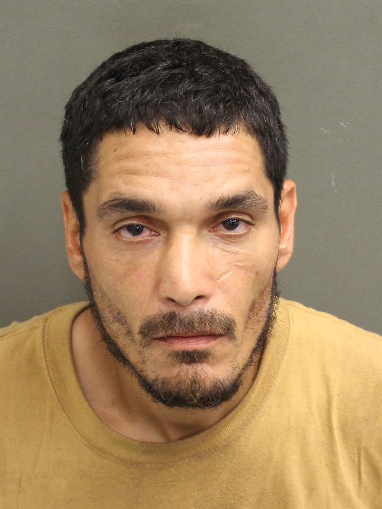  JOSHUA MARTIN Mugshot / County Arrests / Orange County Arrests
