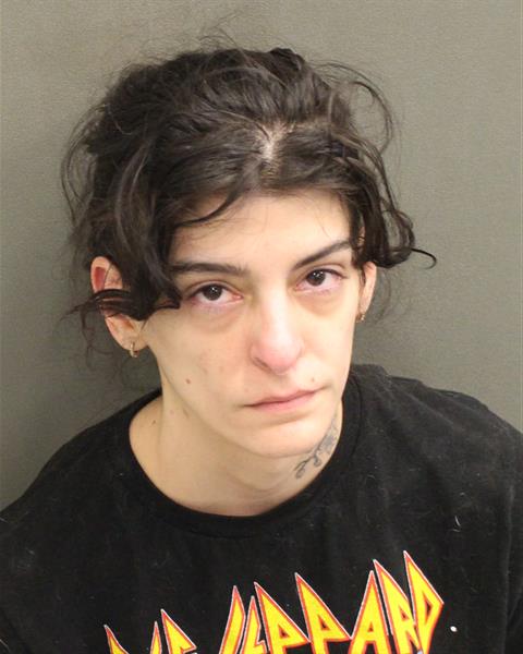  SEGALL VIOLET BLOOM Mugshot / County Arrests / Orange County Arrests
