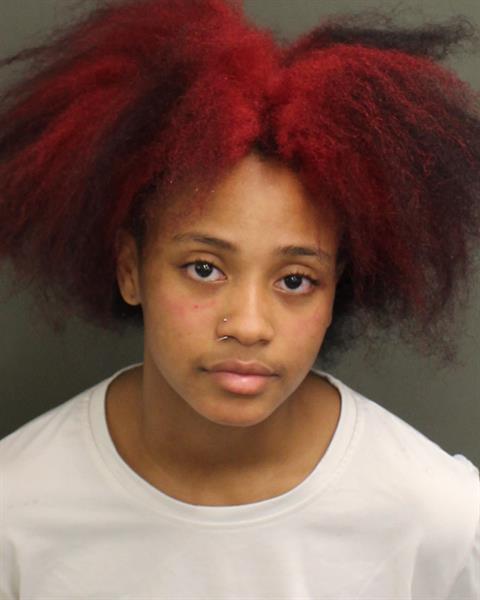  PARIS NIJERIA TYMA SMITH Mugshot / County Arrests / Orange County Arrests