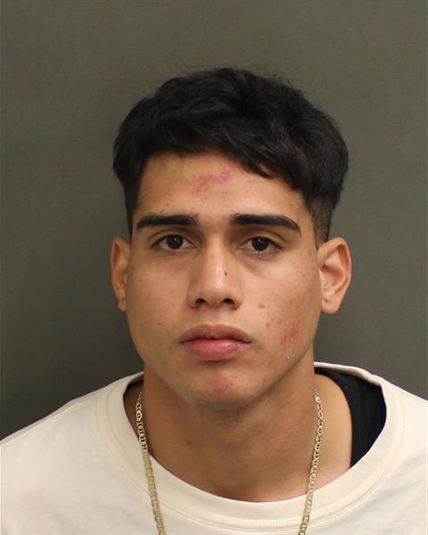  ALEXIS ALCIBIADES GOITTETABLANTE Mugshot / County Arrests / Orange County Arrests