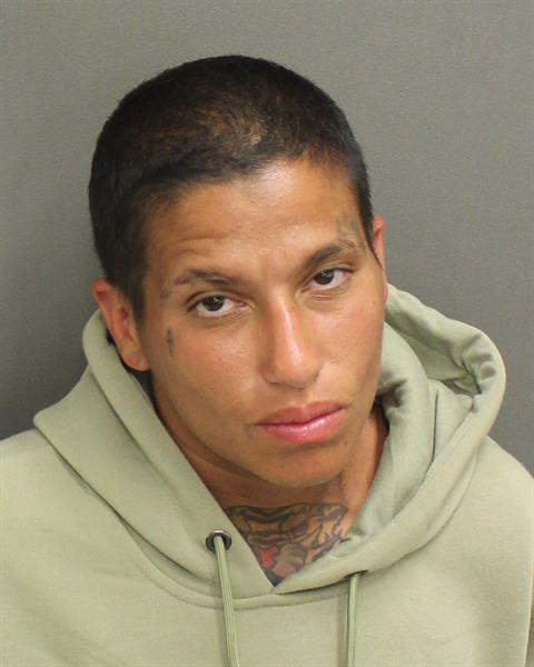  JAZMIN ROSALYNN VILLANUEVA Mugshot / County Arrests / Orange County Arrests