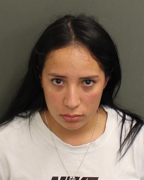 ELSY R CARCAMOVALLECILLO Mugshot ELSY R CARCAMOVALLECILLO Mugshot / County Arrests / Orange County Arrests