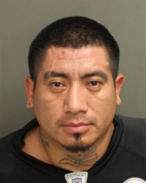  WILMAR PEREZMORALES Photo Image