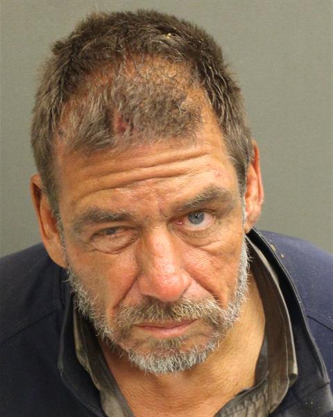  VICTOR GRANT SALICHS Mugshot / County Arrests / Orange County Arrests