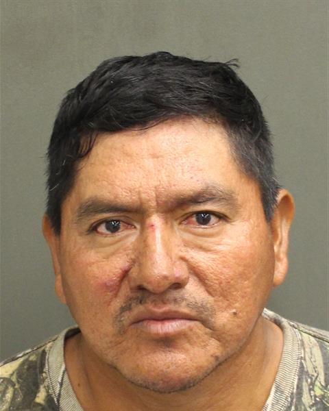  DELMAR HERNANDEZDIAZ Photo Image