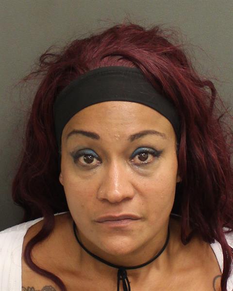  RAIZA RIVERAPIZARRO Mugshot / County Arrests / Orange County Arrests