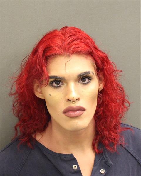  GABRIEL LUIS RUIZ Mugshot / County Arrests / Orange County Arrests