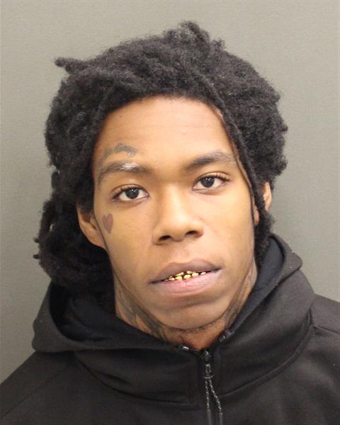  SHANE CORTEZ COLLIE Photo Image