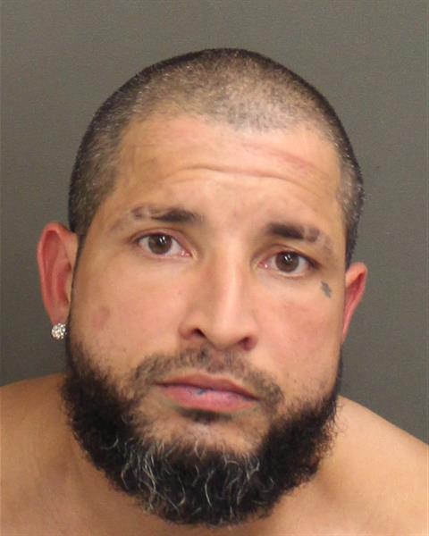  LUIS ANTONIO PAGAN Mugshot / County Arrests / Orange County Arrests