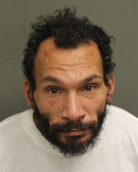  LUIS ALBERTO AGRONT Mugshot / County Arrests / Orange County Arrests