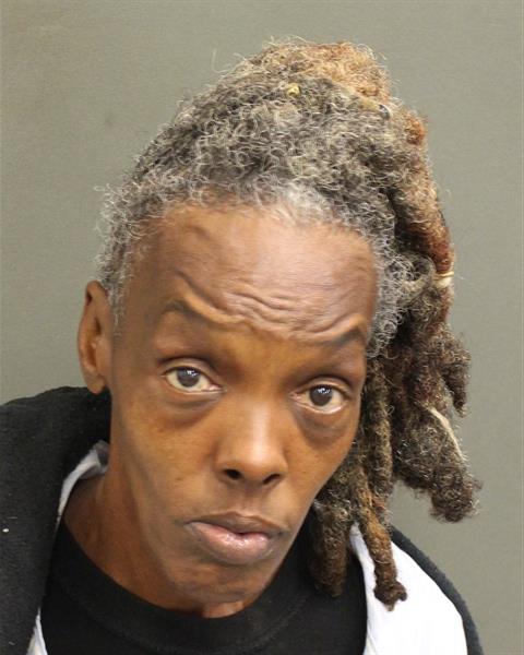  MICHELLE D FORT Mugshot / County Arrests / Orange County Arrests