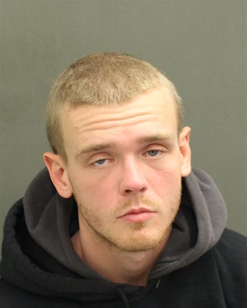  DEVIN LEE HEMMINGS Mugshot / County Arrests / Orange County Arrests
