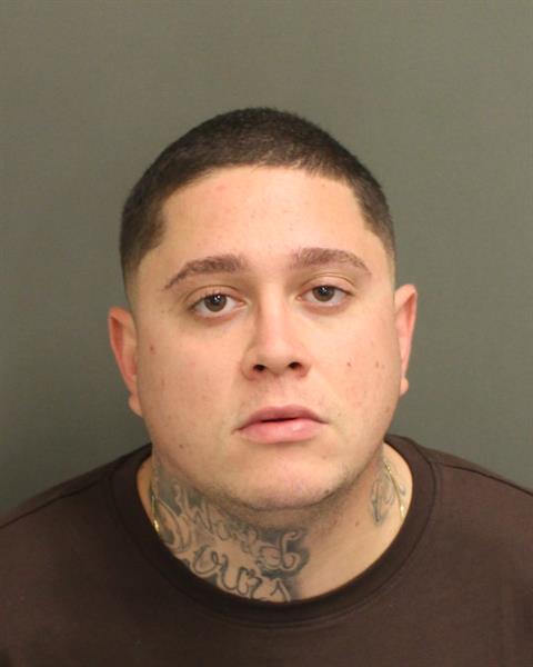  ENZO FALANGA MARTINS Mugshot / County Arrests / Orange County Arrests