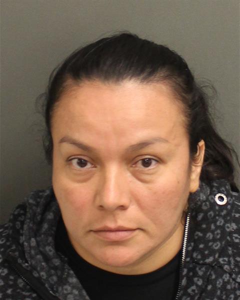  SIDIA ORTIZ BRENES Mugshot / County Arrests / Orange County Arrests
