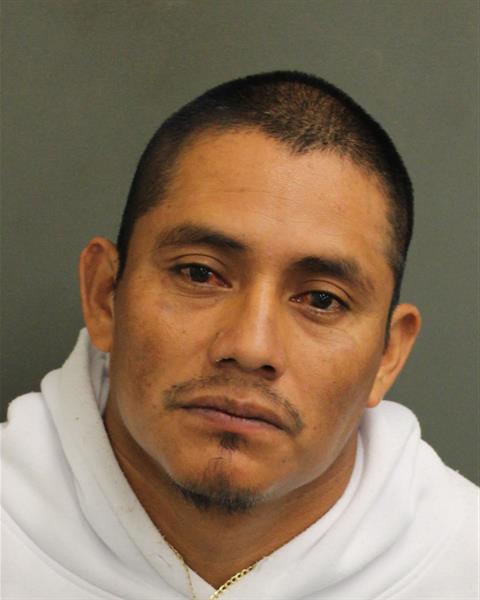  ISRAEL CANCAAL Photo Image