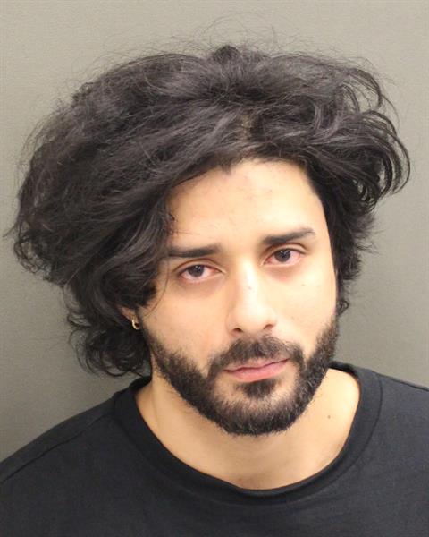  SHAR AMIR HABOUD Mugshot / County Arrests / Orange County Arrests