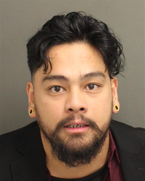  THEODORE ROA Photo Image