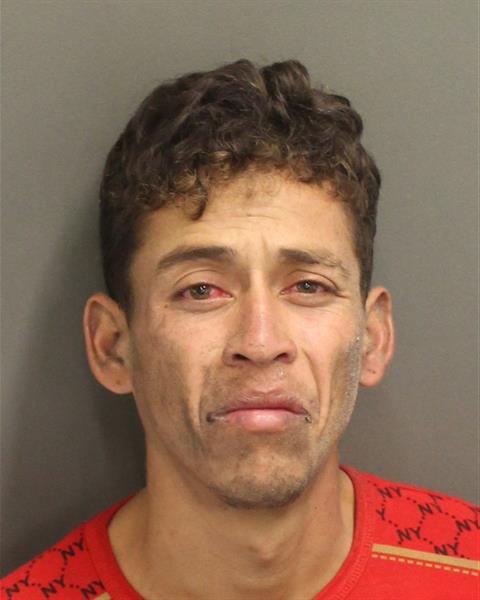  ANDERSON FONSECALUGO Mugshot / County Arrests / Orange County Arrests