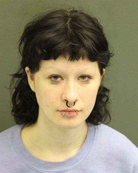  JORDAN IRELAND LIER Mugshot / County Arrests / Orange County Arrests