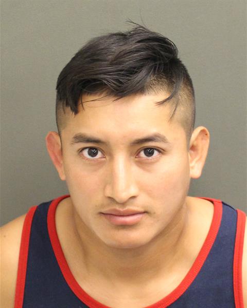  ROELMER ALVERI MIRANDAMIRANDA Photo Image