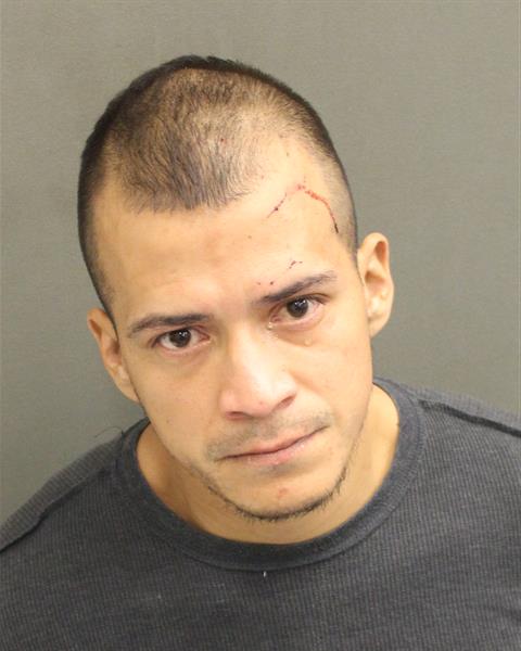  PEDRO RODRIGUEZ Photo Image