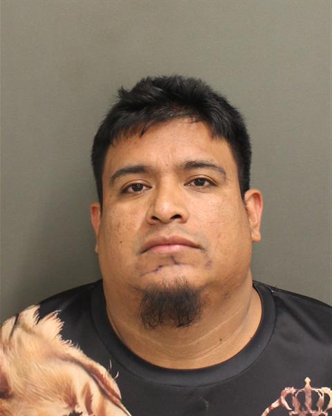  ELFEGO ROLANDO DOMINGORUIZ Mugshot / County Arrests / Orange County Arrests