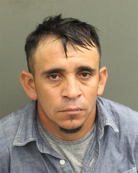  WILMER NOHEL RODRIGUEZCANALES Mugshot / County Arrests / Orange County Arrests