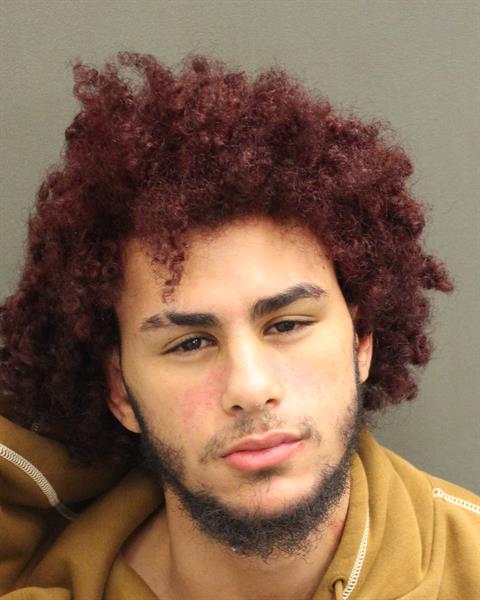  ALEXANDER LUIS NIEVESCAMACHO Mugshot / County Arrests / Orange County Arrests