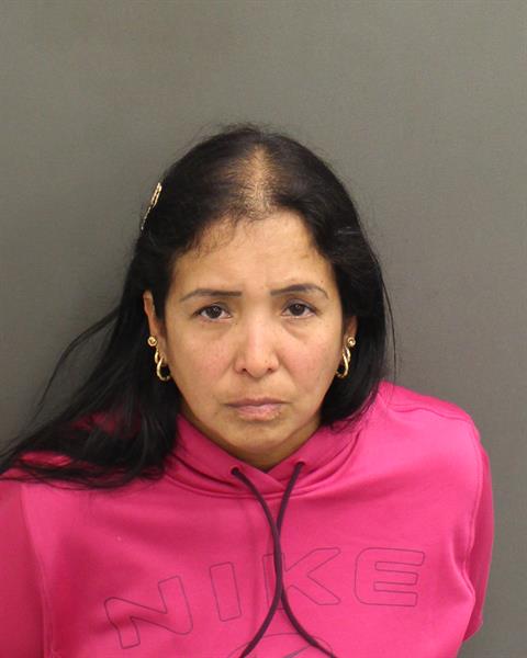  JENNY CAROLINA PEREIRAARIZA Mugshot / County Arrests / Orange County Arrests