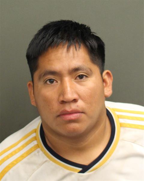  ALEXANDER ELIAS CHUBBEB Mugshot / County Arrests / Orange County Arrests