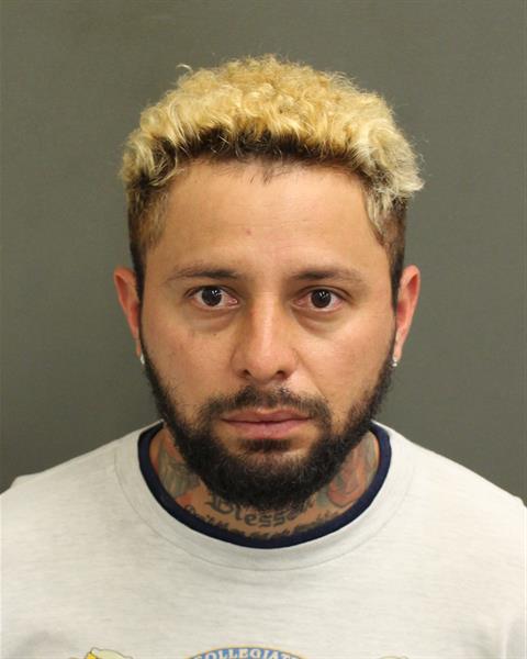  IGNACIO DEJESUS Photo Image